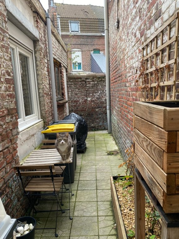 MAISON A LOUER - TOURCOING - 83 m2 - 937�&euro; charges comprises par mois