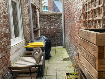 MAISON A LOUER - TOURCOING - 83 m2 - 937 € charges comprises par mois