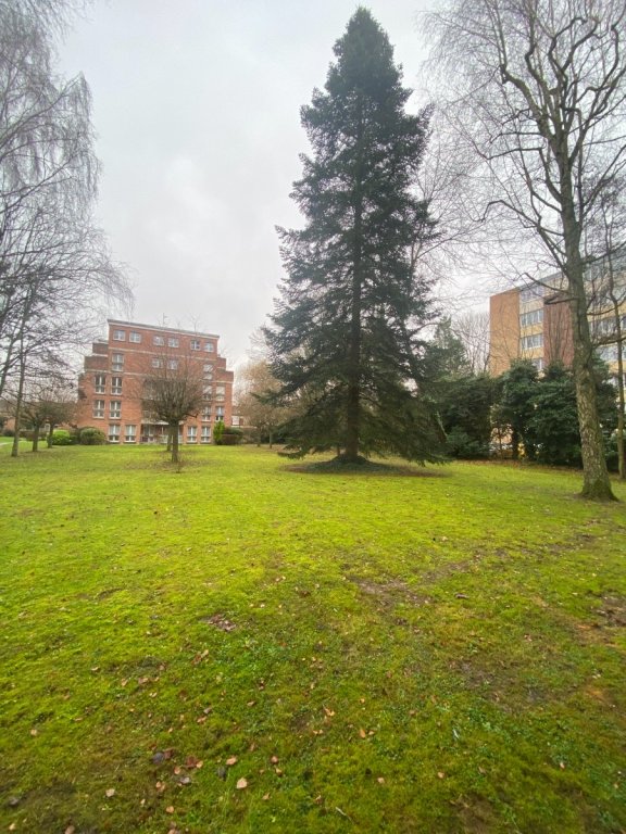 STUDIO A LOUER - ST ANDRE LEZ LILLE - 33.18 m2 - 680�&euro; charges comprises par mois